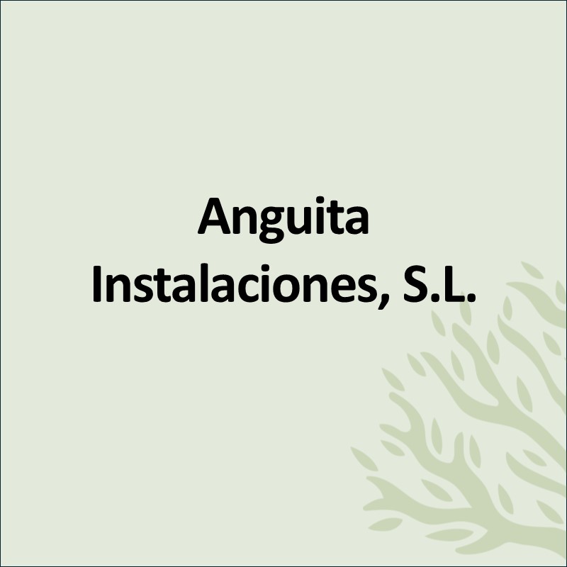 ANGUITA INSTALACIONES SL